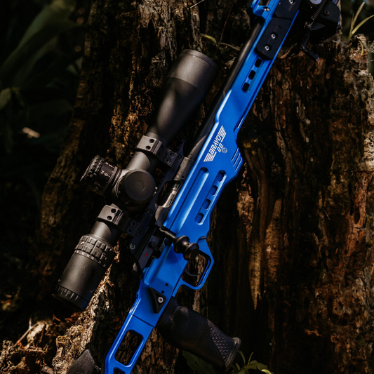 AIM BRAVO 22